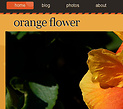 Plantilla Gratis xhtml-css 459 