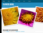 Plantilla Gratis xhtml-css 477 